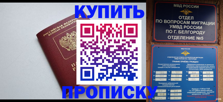 прописка регистрация в Владимирской области